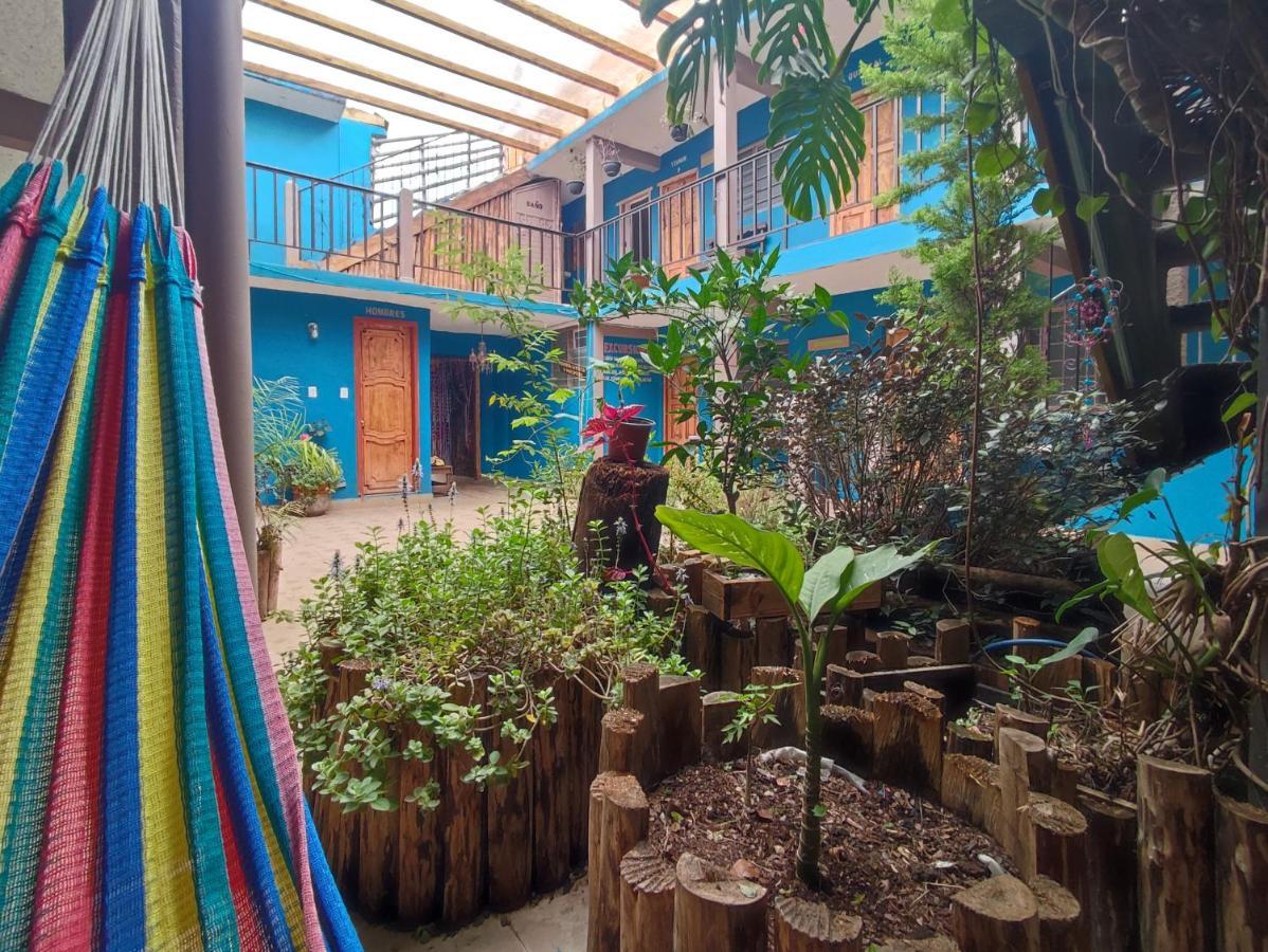 Hostal Ikal San Cristobal de las Casas Bagian luar foto